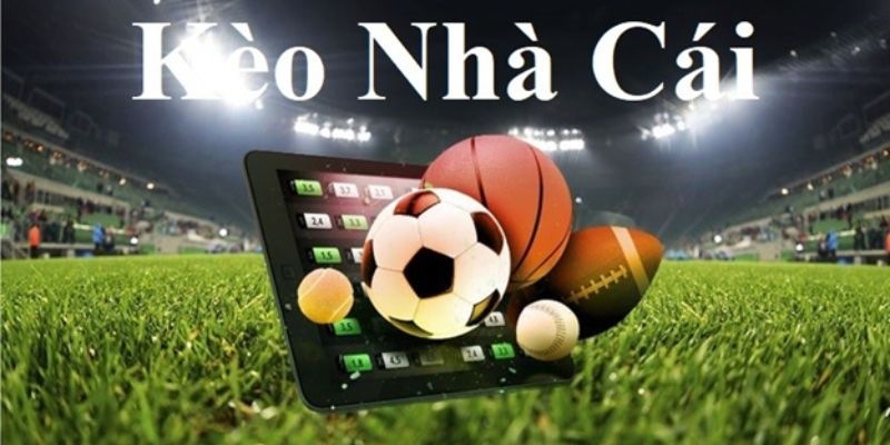 Điều cần biết khi chơi kèo nhà cái 