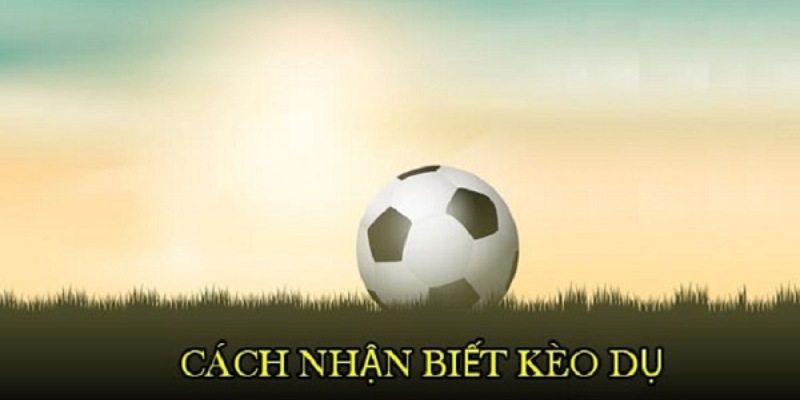 Học hỏi để nhận biết kèo dụ 