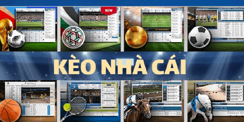 Khám phá những kèo nhà cái nổi bật 
