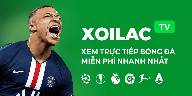 Trang web nhận về sự quan tâm của đông đảo người hâm mộ